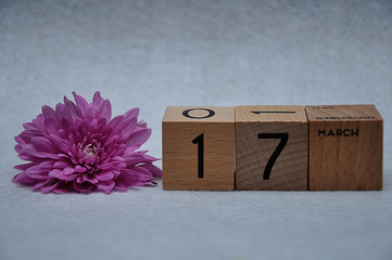 17 March on wooden blocks with a pink daisy on a white background