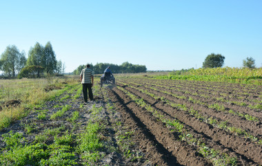 Handmade small tractor plowing field. Old tractor plowing on the farmland.