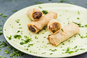Fried spring rolls surrounded by ingredients. Buffet of Assorted of Chinese Food Dishes.
