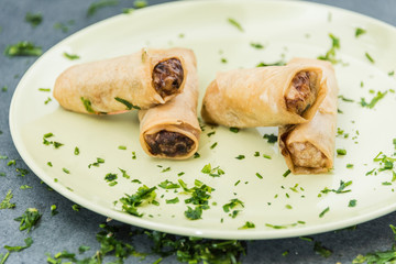 Fried spring rolls surrounded by ingredients. Buffet of Assorted of Chinese Food Dishes.