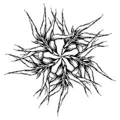 Drawing for a tattoo drawn with ink by hand. Sharp flower. Logo. Rock style.