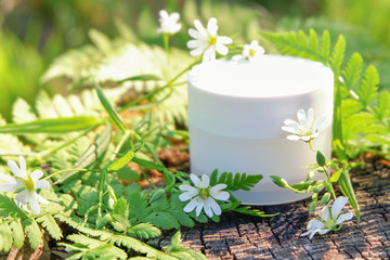 Fototapeta na wymiar Cosmetic cream for skin care. Natural cosmetics in nature outdoors with green fern leaves and wild flowers.