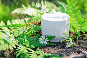 Obraz na płótnie Canvas Natural Cosmetic Skin Care Cream. Cream in nature outdoors with green fern leaves and wild flowers.