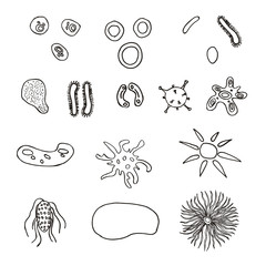 A set of bacteria and viruses