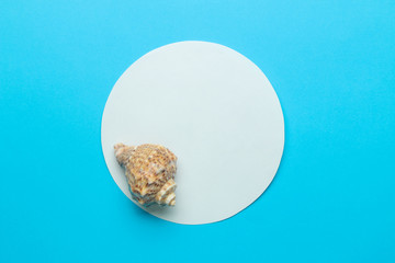 Summer frame. Paper frame for your text and seashells on a gentle blue background. top view