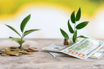 Fototapeta na wymiar Coins and banknotes with growing plants on table. Money savings concept