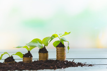 Soil with coins and growing plants on table. Money savings concept