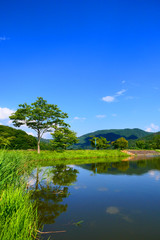 Obraz na płótnie Canvas 夏の水辺に憩う。田瀬　花巻　岩手　日本。９月上旬。