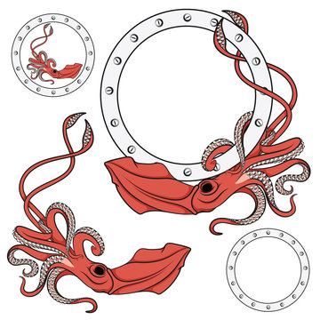 Color illustration with the image of a red squid. Set of vector isolated objects on white background.