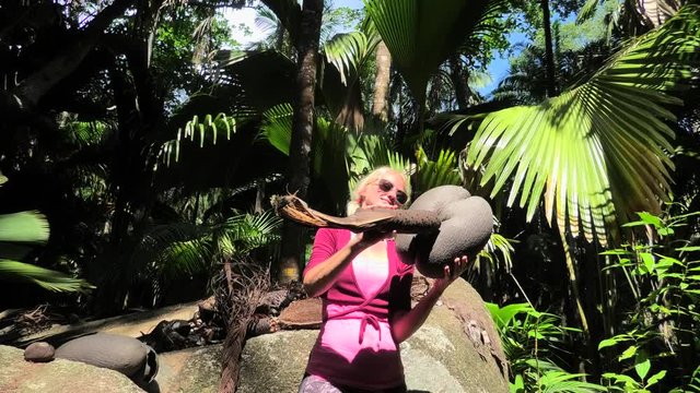 heaving fun with Coco de Mer female and male plants of Lodoicea Maldivica nut. Sea coconut world largest walnut.
