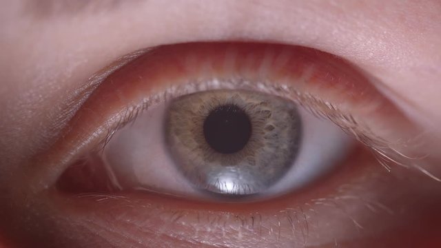 Close-up shoot of caucasian person with greenish eye blinks fastly watching into camera.