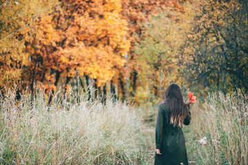 Dreamy beautiful girl with long natural black hair on background with colorful leaves. Fallen...
