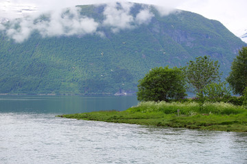 Fjord and mountains landscape