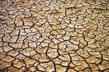 Fototapeta premium The Cracks
