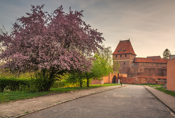 Fototapeta na wymiar Teutonic castle in Malbork, Pomorskie, Poland