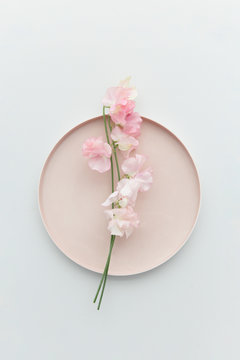 Pink blush lathyrus or peavines on a plate smelling delicious.