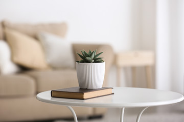 Green succulent in pot with book on table in room - Powered by Adobe