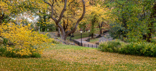 Central Park, New York City in autumn