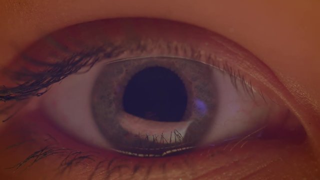 Close-up shoot of gray eye with reflection of blue lamp on it watching into camera.