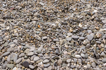dry sea pebbles on beach