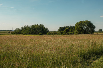 Idyllische Teichlandschaft zum Seele baumeln lassen