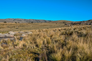 Quebrada del Condorito  National Park,Cordoba province, Argentina