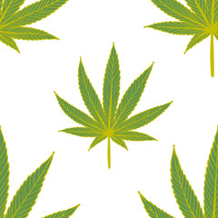 Seamless pattern with green cannabis leaves on white background.