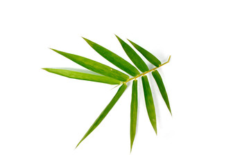Bamboo leaves on white background.(with Clipping Path).