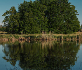 Idyllische Teichlandschaft zum Seele baumeln lassen