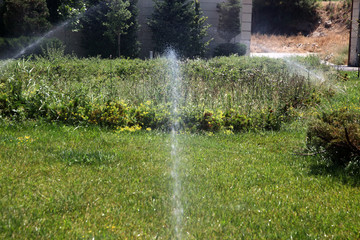 Lawn water sprinkler spraying water over grass in garden 