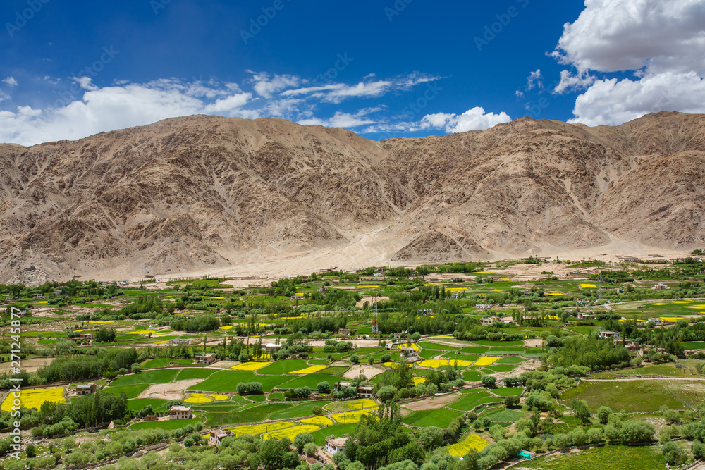 Wall mural Beautiful view of Leh city and green Indus valley, Ladakh, India.