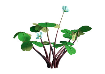 3D Rendering Wood Sorrel Flowers on White