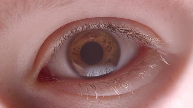 Close-up shoot of caucasian person with brown eyes blinking watching attentively into camera.