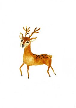 Cute deer painted with watercolor