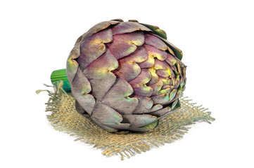 Obraz premium Fresh artichoke isolated on white background