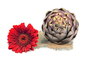 Obraz premium Fresh artichoke isolated on white background