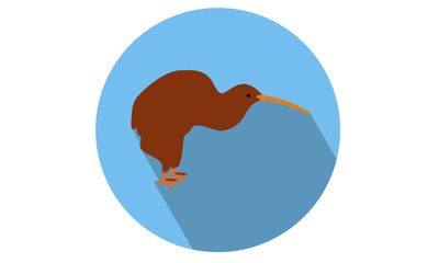 Kiwi animal vector illustration