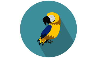 Yellow and blue Macaw vector illustration flat icon tropical bird