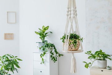 Stylish and minimalistic boho interior with crafted and handmade macrame shelf planter hanger for...