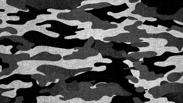White black camouflage fabric texture background