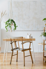 Stylish and boho home interior of living room with wooden desk, chair and shelf. Design and elegant accessories. Botany home decor with a lot of plants. Abstract painting on the wall. Cozy open space.