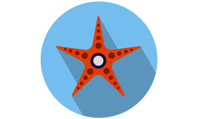 Starfish Vector illustration