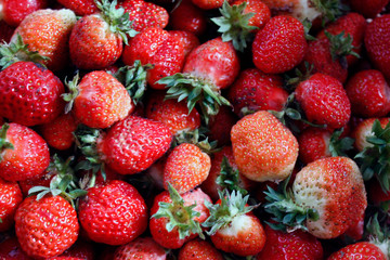 Strawberry. Macro of fresh organic red berries. Fruit background. Close-up.