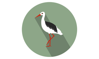 Crane / White Ibis vector illustration flat icon