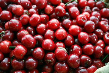 Close up of a pile of ripe cherries with stalks and leaves. A large collection of fresh red cherries. Ripe cherry background. Close-up.