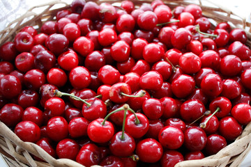 cranberries in a bowl