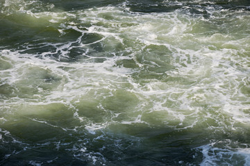 Fototapeta premium Greenish sea water with foam and waves, natural background, Baltic Sea.
