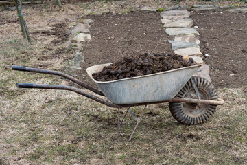 Pile of horse manure on garden - farming and garden work