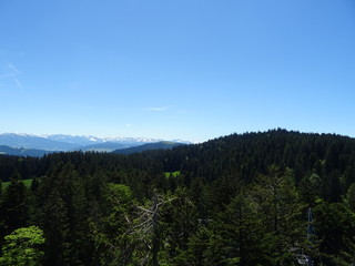 Allgäu von oben
