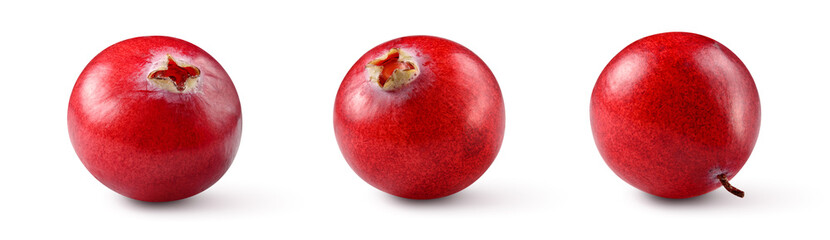 Cranberries isolated. Cranberry on white. Full depth of field. With clipping path.